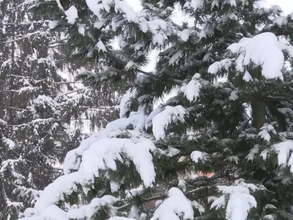 Долго&nbsp;ли продержатся морозы в&nbsp;Татарстане&nbsp;— прогноз от&nbsp;метеоролога