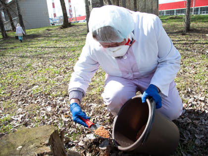 Казань завершают обрабатывать от клещей, грызунов и комаров