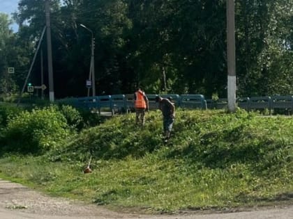 На городских улицах организована работа по покосу травы