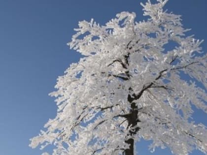 Татарстанцев предупредили о похолодании до минус 31 градуса