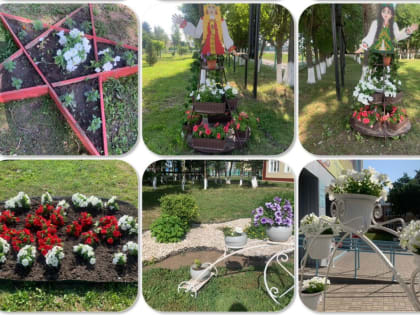 Цветы в Сабинской гимназии радуют глаз