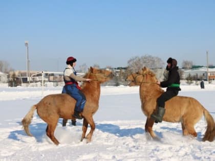 Фермер из Лениногорска организовал фестиваль