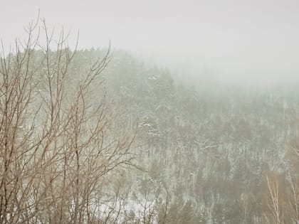 Жителей города и района предупредили о тумане и метели