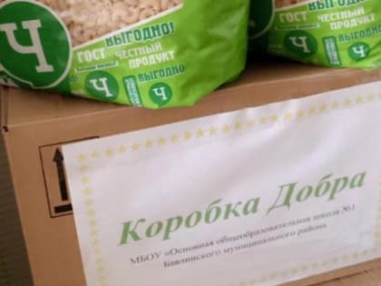 Бавлинские школьники собрали гуманитарную помощь бойцам СВО