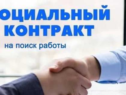 Социальный контракт для безработных и ищущих работу: условия контракта по поиску работы и обязанности сторон.