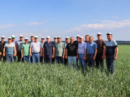 Приёмка полей Тетюшского муниципального района: Поля чистые, всходы дружные!