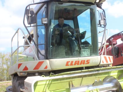 После сева – к заготовке кормов