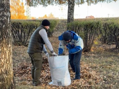 Городской субботник: жители объединяются для чистоты