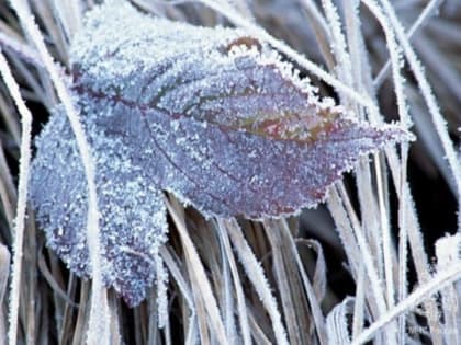 Консультация – предупреждение об интенсивности метеорологических явлений на Территории Республики Татарстан