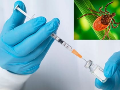 Вакцинация против КВЭ.