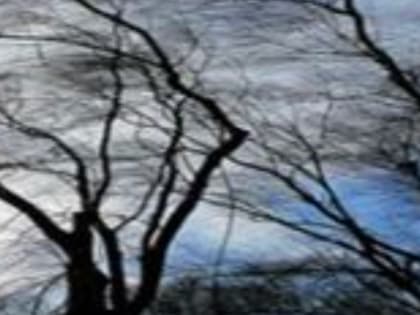 Ежедневный оперативный прогноз