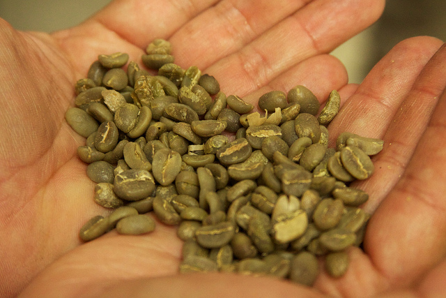 Zelena kafa (Flickr/McKay Savage)