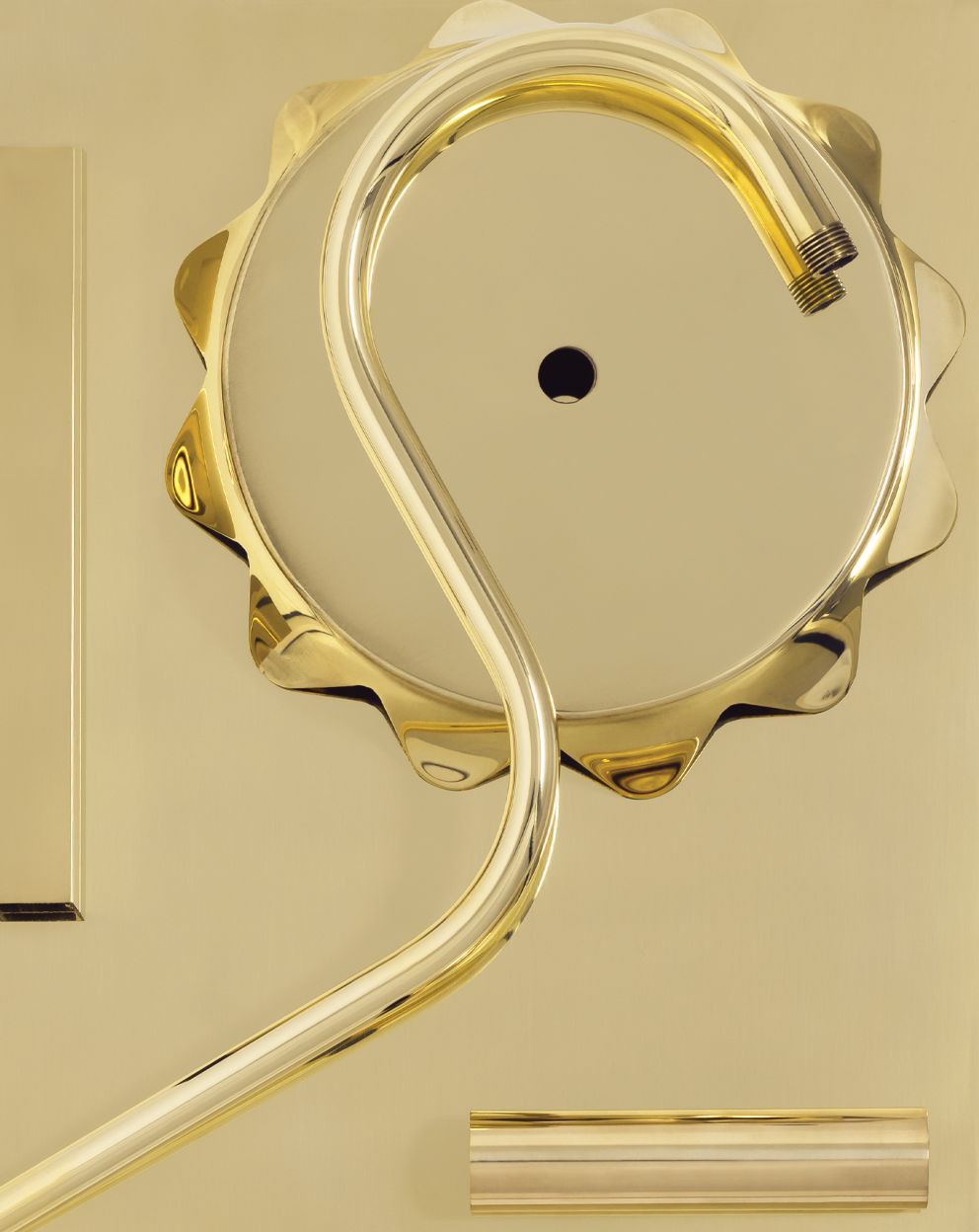 Metal Sample: Polished Brass Lacquered