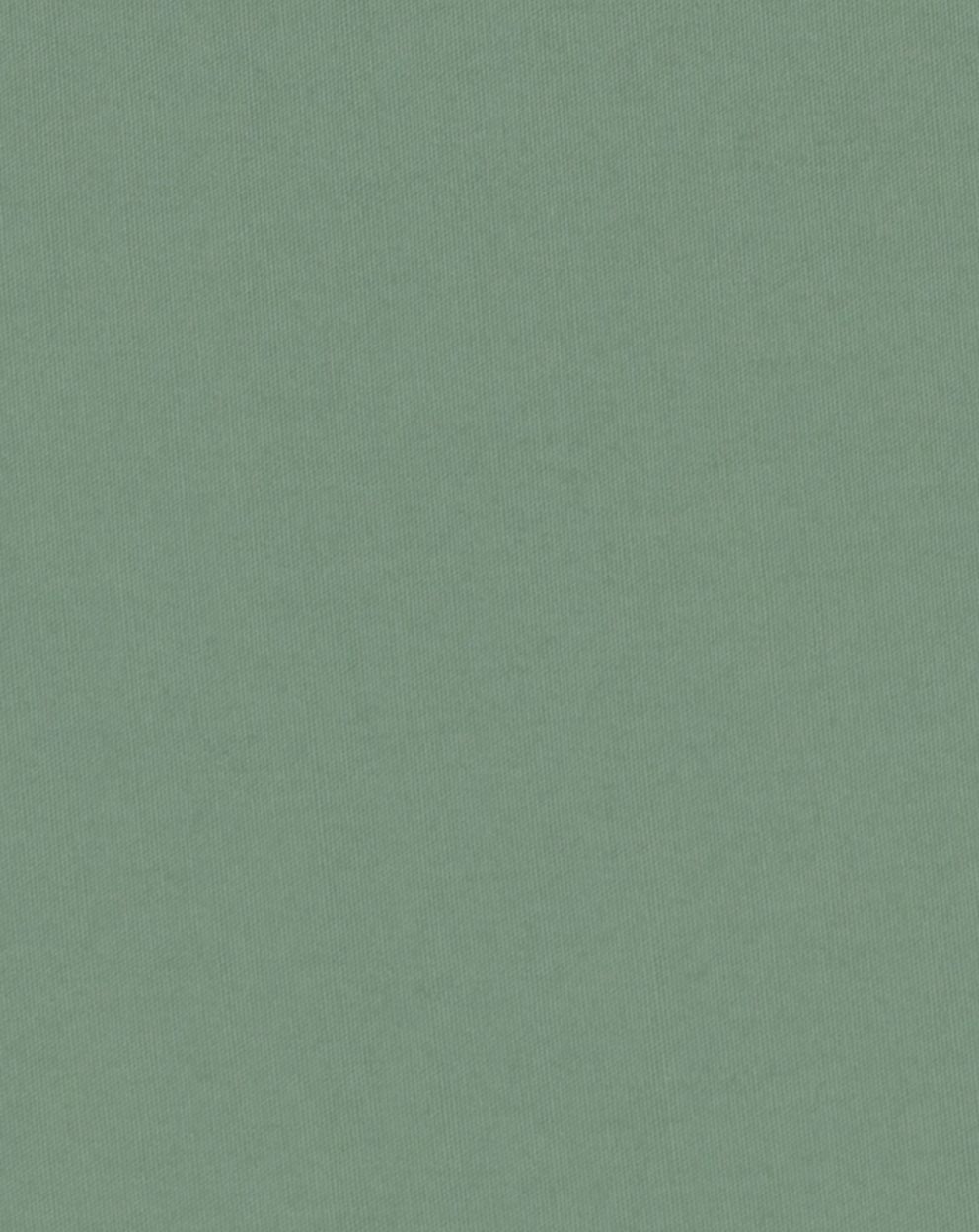 Textile Sample: Lamb's Ear Green Cotton