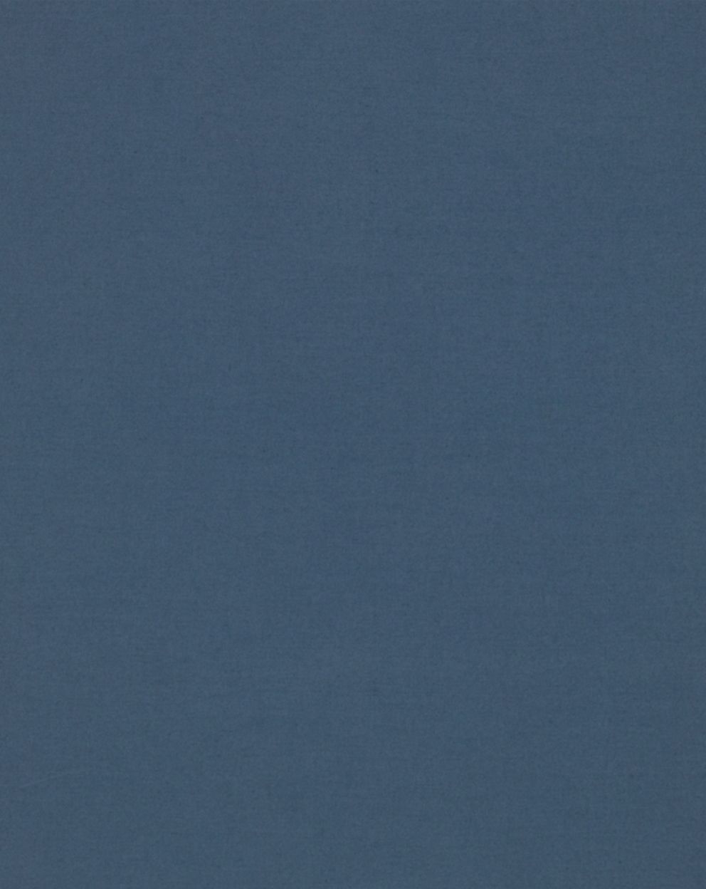 Textile Sample: Dutch Blue Cotton