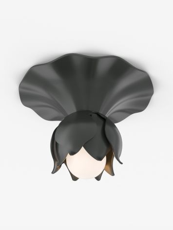 Flora