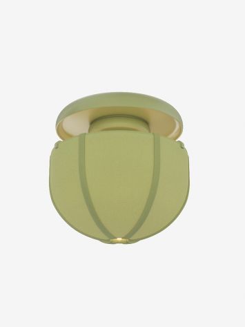 Textile Sample: Sage Green Cotton