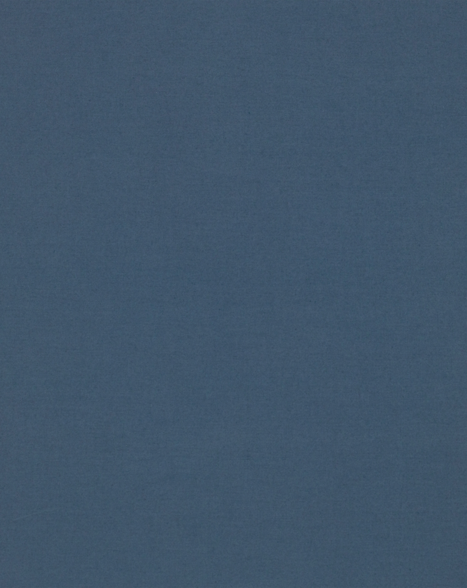 Dutch Blue