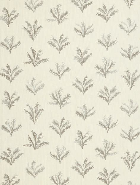 REBECCA ATWOOD, LITTLE PALM