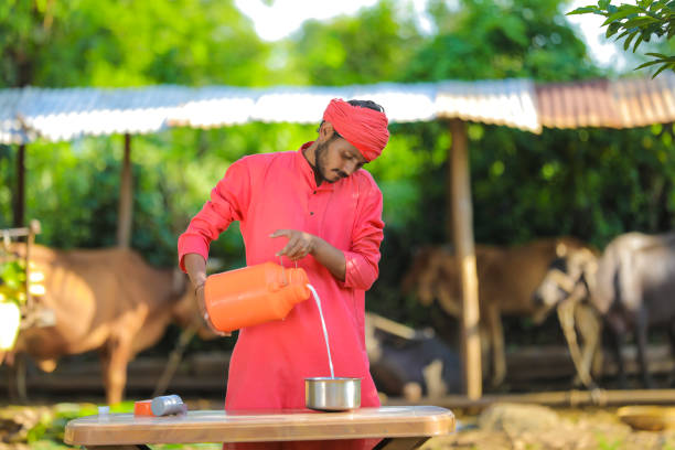 Fresh milk from Mauli Farm