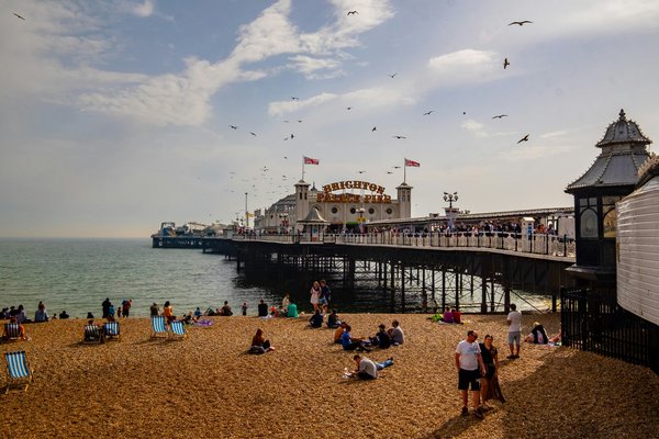 academic-coaching-brighton