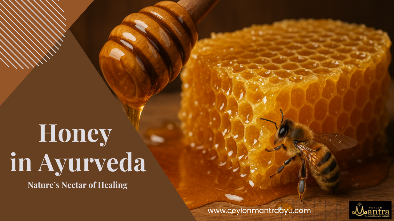 Honey (Madhu) in Ayurveda: The Divine Nectar of Healing