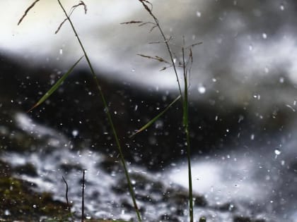 В Красноярске из-за плохой погоды перенесли общегородской субботник