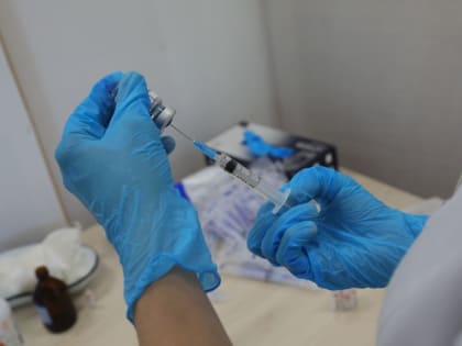 Более 500 тысяч доз вакцины от гриппа поступило в Красноярский край