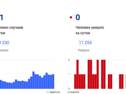 В Красноярском крае за сутки коронавирус обнаружен у 101 человека