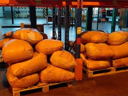 В Красноярске сожгли вредоносные семена из Киргизии