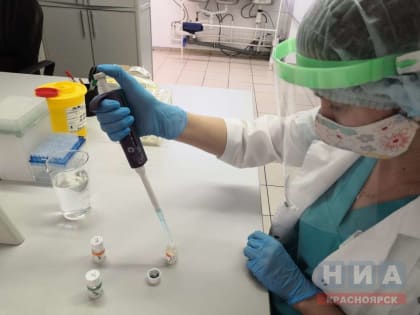 Половина коронавирусных проб у красноярцев показала штамм «Кракен»