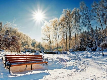 Аномально тёплую погоду прогнозируют синоптики Хакасии в предновогоднюю неделю