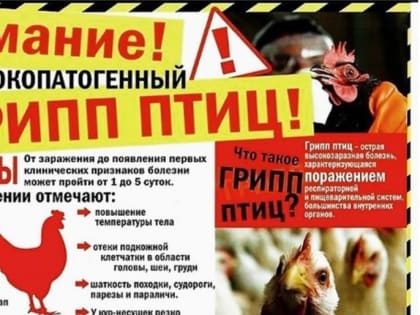 КГКУ "Северо-Енисейский отдел ветеринарии" информирует