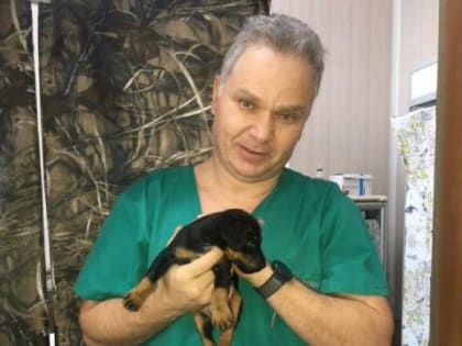 Мы продолжаем нашу новую рубрику - «Заметки доктора Брагина»