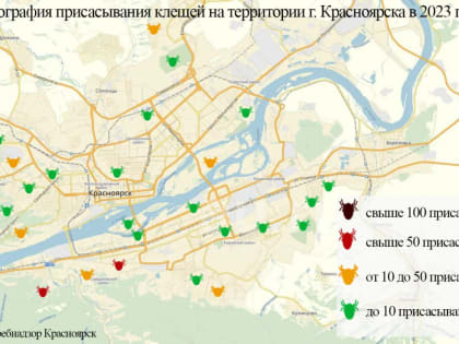 Названы места Красноярска, где клещи чаще всего присасывались к людям