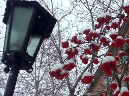 Шарыповцев ждут выходные с сильными морозами