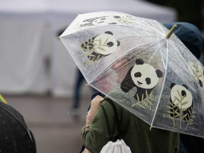 Лето портится: шарыповцев ожидает прохладная и дождливая неделя