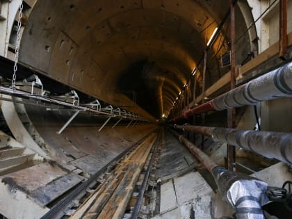 Красноярский край: новые инициативы в области экологии