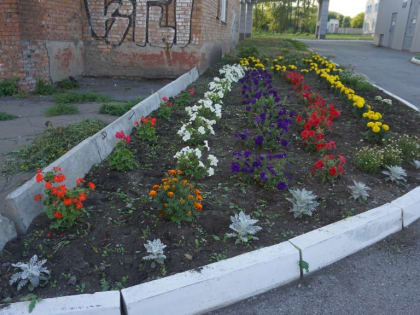 В центре охраны материнства и детства № 2  подвели итоги конкурса озеленения