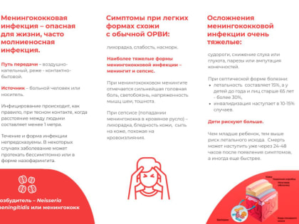 Роспотребнадзор уверяет, что красноярцы не заразятся менингитом от посылок из Ozon