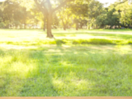 В июле красноярцев ждет переменчивая погода и Арктическое вторжение