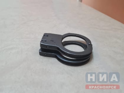 Госдума предлагает пожизненно лишать свободы за госизмену