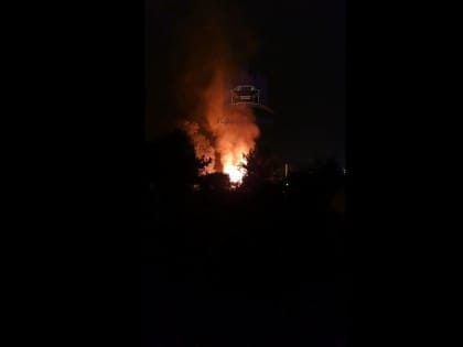 В Красноярске возле Лесопарковой пожарные 1,5 часа тушили мусор на площади 49 кв. м