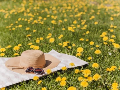 В Красноярске 5 августа в субботу днем ожидается +25°C