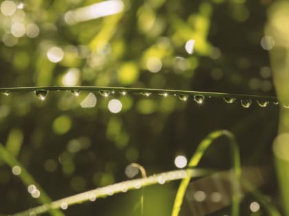 В Красноярске 21 августа в понедельник днём ожидается +22°C