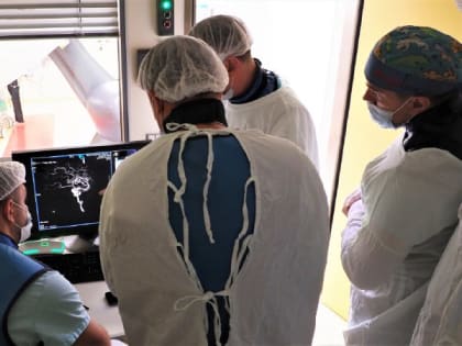 Красноярские врачи изучили новую технологию лечения сосудов головного мозга