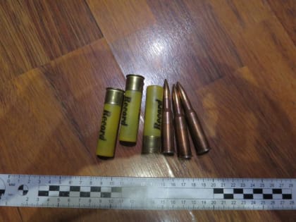 Жителю Канска грозит 2 года колонии за незаконно убитую лосиху