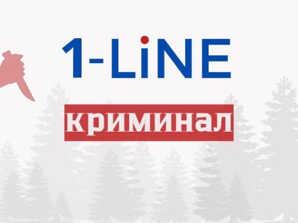 В Кузбассе полиция задержала подозреваемого в избиении 6-месячного младенца