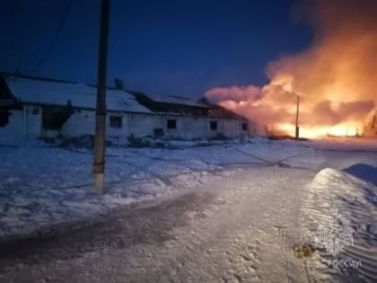 В Канском районе 88 телят погибли в огне