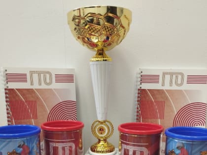 Проверка состояния общественных территорий в Подольске